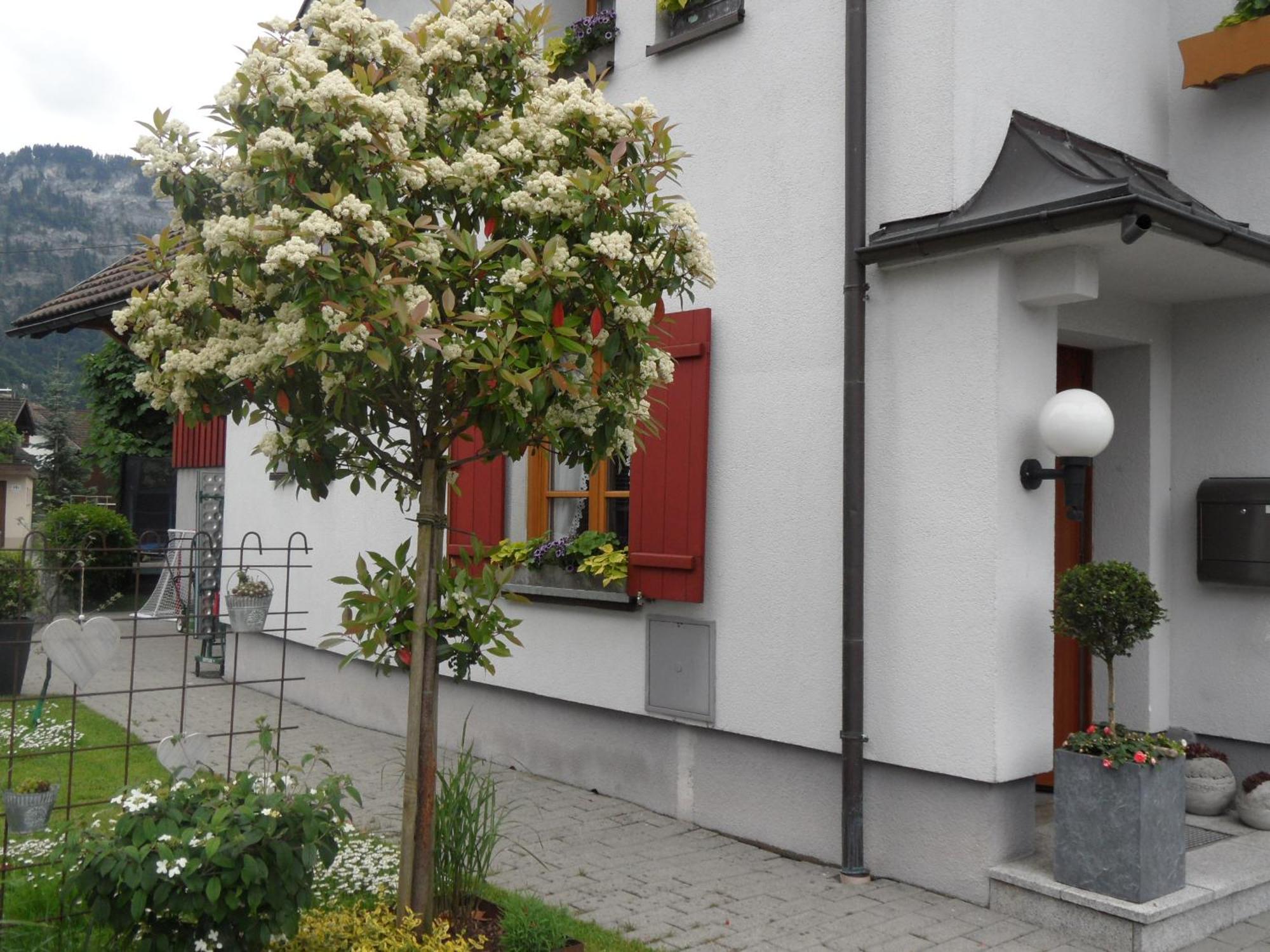 Ferienwohnung Lilly Dornbirn Exterior photo